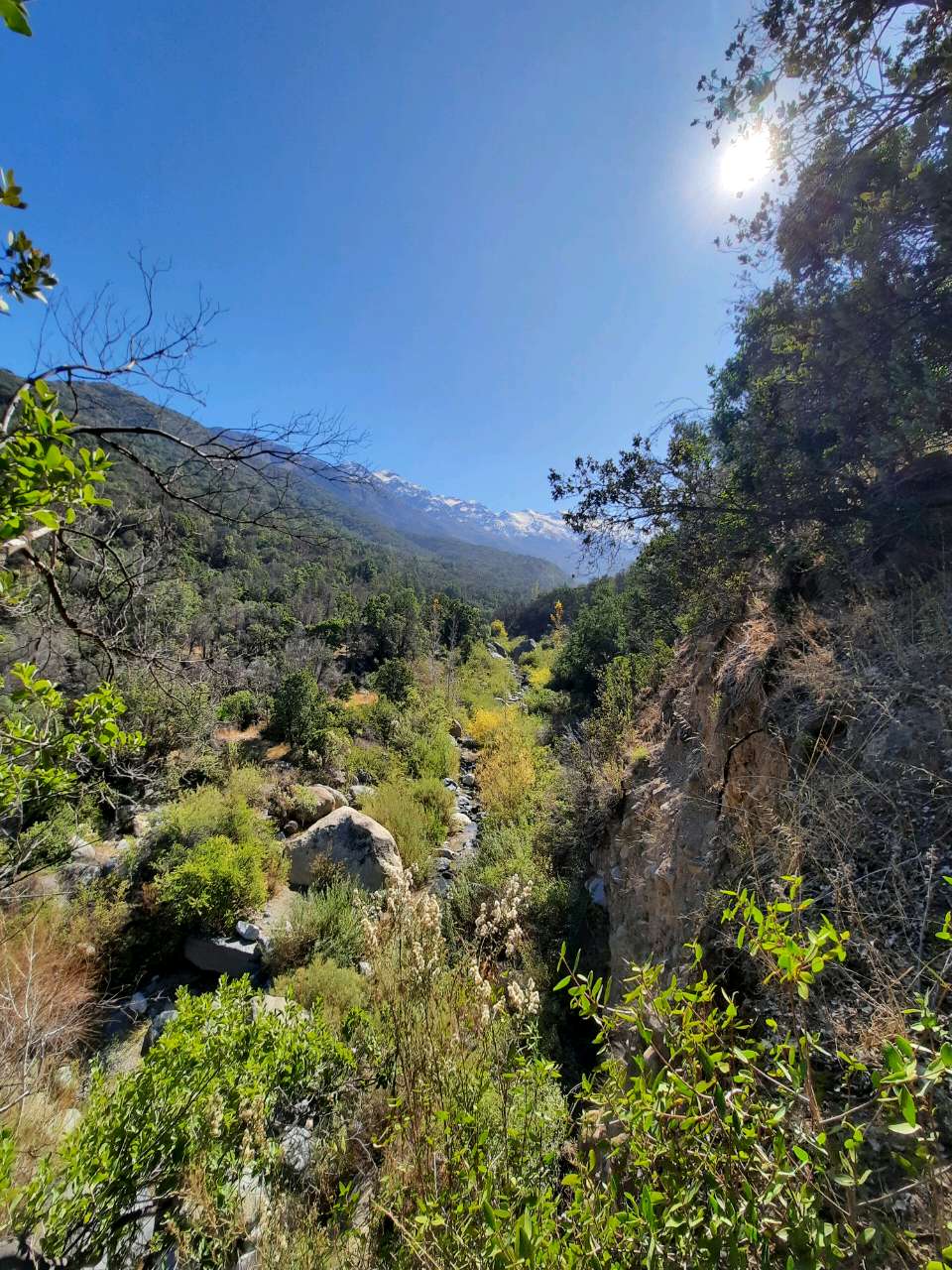 Bosque de Los Brujos (Estero El Manzano) Trekking SUDA Outdoors